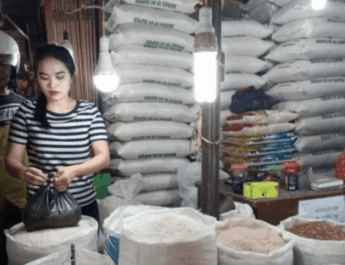 Harga Beras Naik