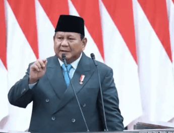 tambang ilegal Indonesia