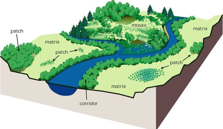 Ekologi Lanskap: Studi Pola Ruang dan Penggunaan Lahan Keberlanjutan