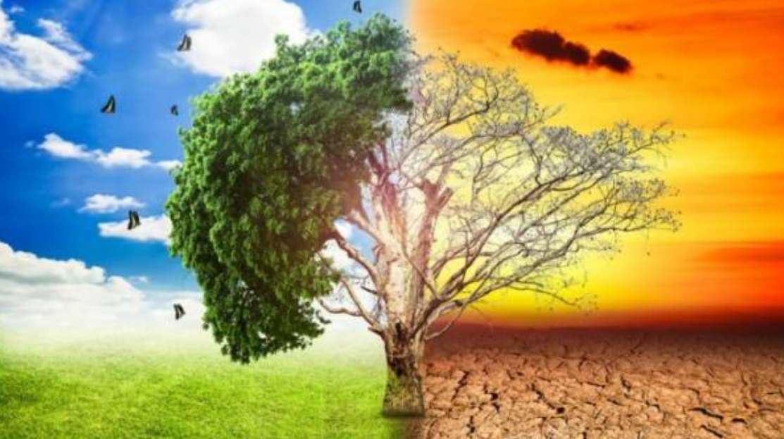 Perubahan Iklim dan Dampaknya terhadap Ekosistem Global