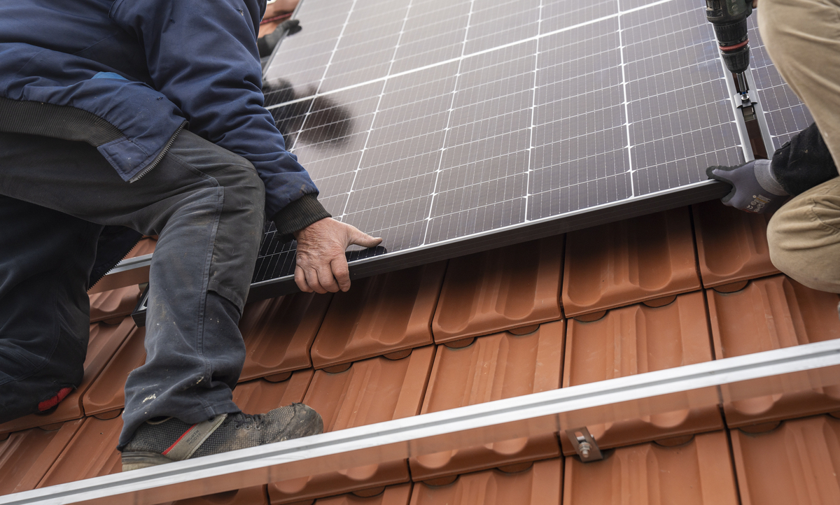 Inisiatif Hijau Verle: Dukungan untuk Energi Terbarukan