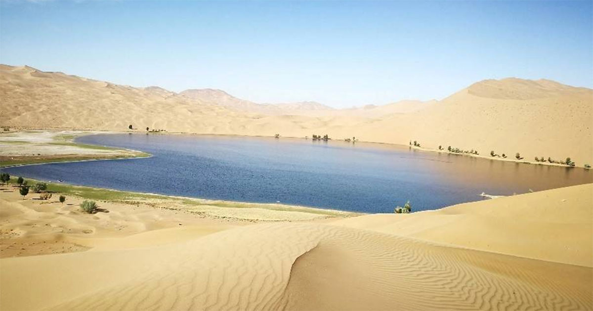 Inspirasi Gurun Negev: Beternak Ikan di Padang Gurun