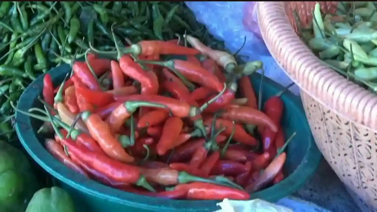 Makanan Penyebab Inflasi di Jambi: Analisanya