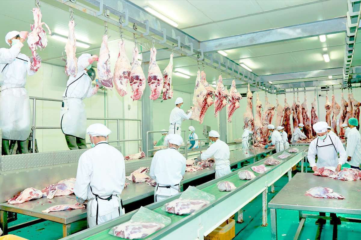 Strategi WMPP Perkuat Modal Lewat Rights Issue
